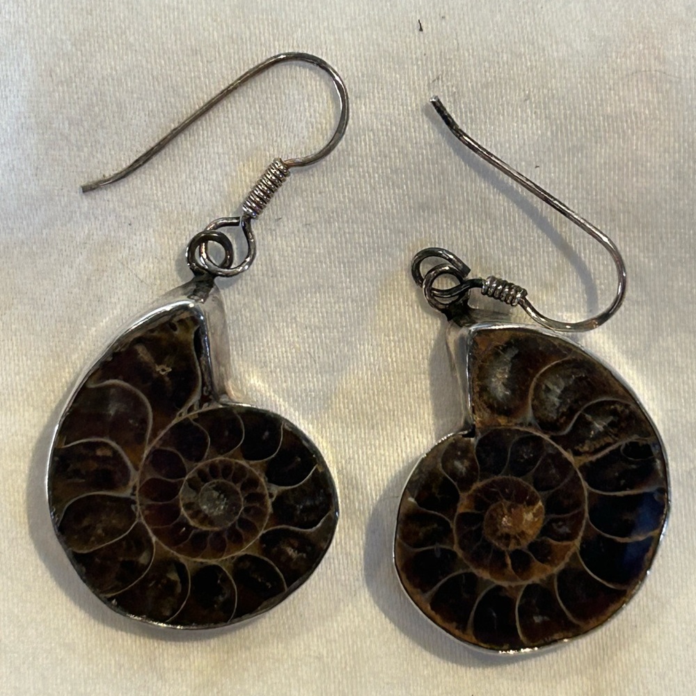 Ammonite earrings set in silver